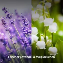 Airwick Raumduft Duftspray, 237 Ml, Geruchsneutralisierend, Lavendel & Maiglöckchen -Haushaltsprodukte 0bcfc7788d6365d46cb9ed0ed7beddc3442c879e raumduft airwick duftspray 237 ml