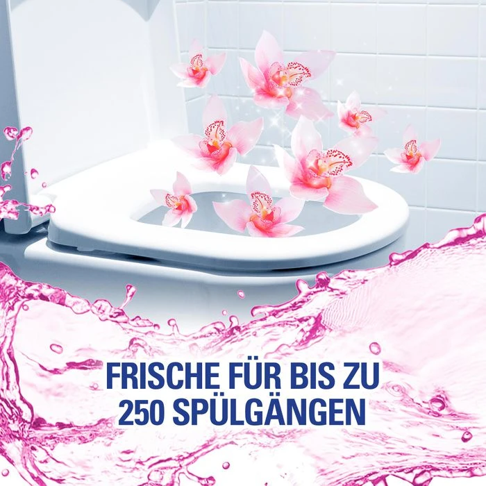 Cillit-Bang WC-Duftspüler 6 In 1 Lilaspüler, Wilde Orchidee, Im Korb, 3 Stück 2 Cillit-Bang WC-Duftspüler 6 In 1 Lilaspüler, Wilde Orchidee, Im Korb, 3 Stück – Bild 2