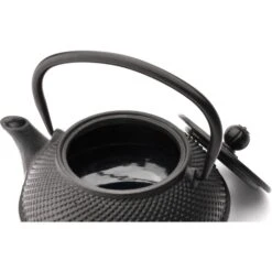 Bredemeijer Tee-Kanne Jang, Gusseisen, Mit Edelstahl-Filter, Schwarz, 0,8 L -Haushaltsprodukte 252676b2ad8d653e363d57862095fe1fb9f6cb56 tee kanne bredemeijer jang gusseisen