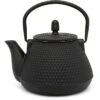 Bredemeijer Tee-Kanne Wuhan, Gusseisen, Mit Edelstahl-Filter, Schwarz, 1,0 L