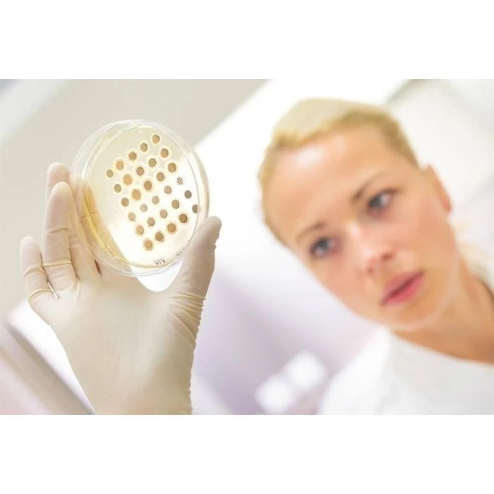 NITRAS Einmalhandschuhe Ideal Care Latex, 8201, Gepudert, Weiß, 100 Stück, Größe XL 2 NITRAS Einmalhandschuhe Ideal Care Latex, 8201, Gepudert, Weiß, 100 Stück, Größe XL – Bild 2