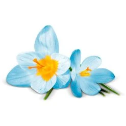 Airwick Premium Duftspray Pure Frühlingsfrische -Haushaltsprodukte df43010d1c3bee569cdb89ad8e21646438b6fe07 raumduft airwick pure 250 ml